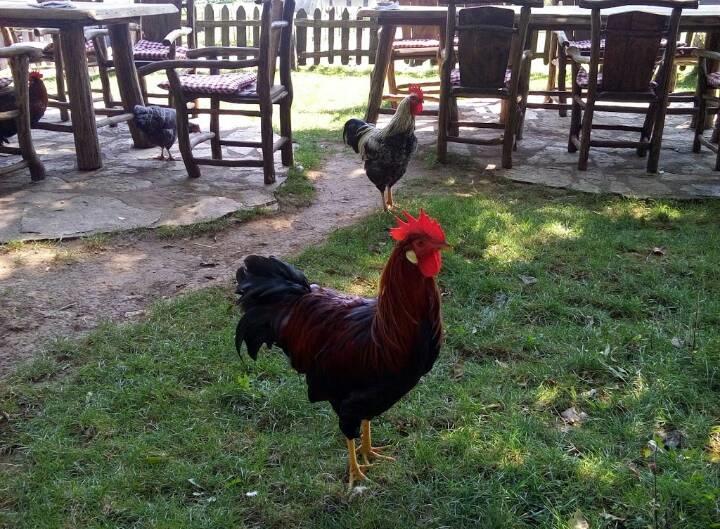 Farm Stay Cardaklije Kulen Vakuf Zewnętrze zdjęcie
